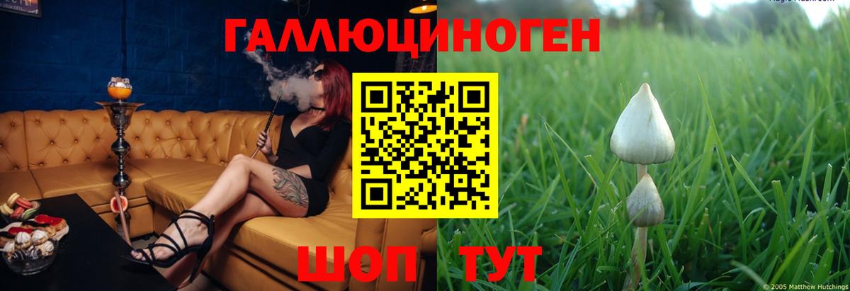 Галлюциногенные грибы Magic Shrooms Сургут